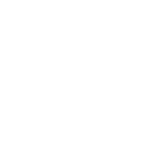 Le Cirque